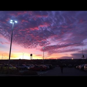 Meet your Posher, Brynn